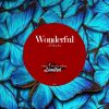 Download track Wonderful (Extended Mix)