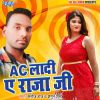 Download track Ac Ladi Ae Raja Ji