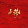 Download track 是龙