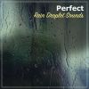 Download track Birdsong With Gentle Rain