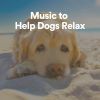 Download track Music To Help Dogs Relax, Pt. 13