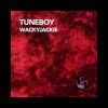 Download track WACKYJACKIE (Technoboy Rmx)