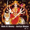 Download track Maa Tere Mandir Mein