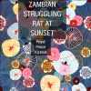 Download track Zambian Struggling Rat At Sunset