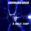 Download track A Nice Trip (Radio Edit)