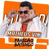 Download track Vida De Pilantra