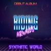 Download track Synthetic World (Instrumental)