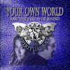 Download track Your Own World