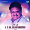 Download track Saagali Guri Serali (From 