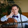 Download track Sei Mir Gegrüsst, D. 741 (Transcr. For Cello And Piano By M. Martinelli)