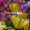 Download track 2024好运请查收