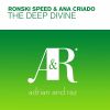 Download track The Deep Divine (Steve Brian Remix)