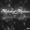 Download track Melodical Madness (Intro)