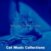 Download track Trio Jazz Soundtrack For Training Your Cat