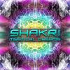 Download track Play Of Light (Shakri Remix)