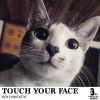 Download track Touch Your Face