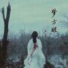 Download track 梦方醒 (伴奏)