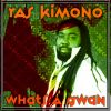 Download track Kimono De Want