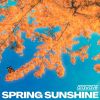 Download track Spring Sunshine