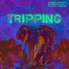 Download track Tripping