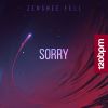 Download track Sorry (Bronster Bridge Remix)