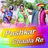 Download track Pushkar Chaala Re