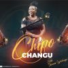 Download track Chidembo