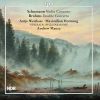 Download track Violin Concerto In D Minor, WoO 23: II. Langsam