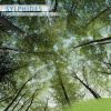 Download track Sylphides Pluies Et Lumieres Pt. 4-Ik