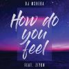 Download track How Do You Feel (Radio Edit)