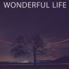 Download track Wonderful Life (Extended)