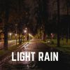 Download track Exceptional Rain