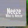 Download track Neeze's Everywhere