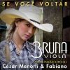 Download track Se Você Voltar