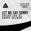 Download track Let Me Say Sorry