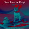 Download track Sparkling Moods For Doggy Mental Health