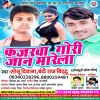 Download track Dosare Bhatar Banake