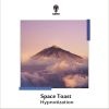 Download track Space Toast (Four-Sided Circles Remix)