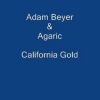 Download track California Gold