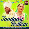 Download track Tandoori Rottian