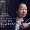 Download track Symphony No. 2 In D Major, Op. 43 IV. Finale. Allegro Moderato