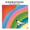 Download track Bird Queen Of Garbage Island