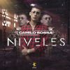 Download track Niveles