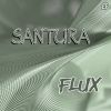 Download track Flux (Original)