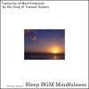 Download track Mind's Tranquility Embraced By The Gentle Waves Of Dawn