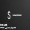 Download track Wavestorm (Radio Edit)