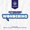 Download track Wondering (2Deep & Soul Remix)