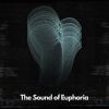 Download track The Sound Of Euphoria (Slowed)