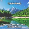 Download track Quiet Music, Pt. 5