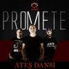 Download track Ateş Dansı